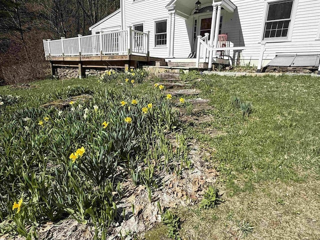 view of yard featuring a wooden deck