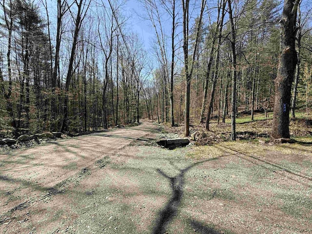 view of local wilderness featuring a wooded view