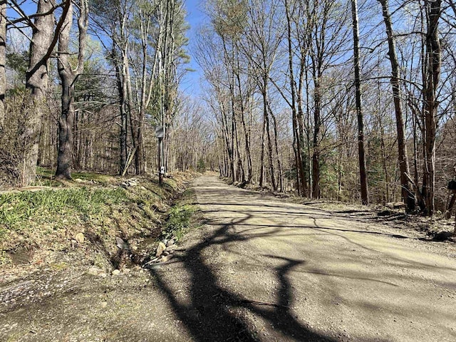 view of street with a view of trees