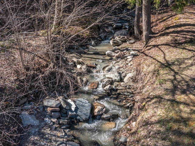 view of local wilderness