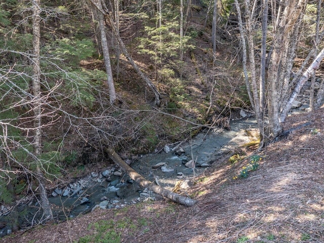 view of landscape