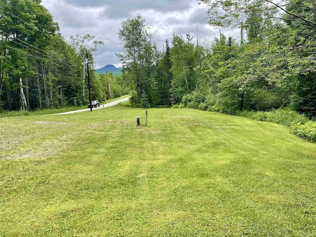 93 Westside Ln, Westmore, VT 05822
