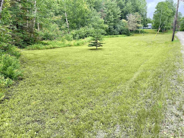 93 Westside Ln, Westmore, VT 05822