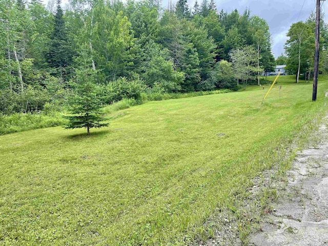 93 Westside Ln, Westmore, VT 05822