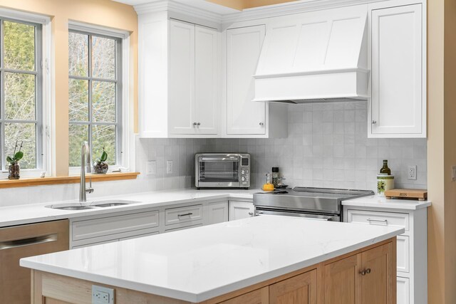kitchen with backsplash, a toaster, premium range hood, a sink, and stainless steel appliances