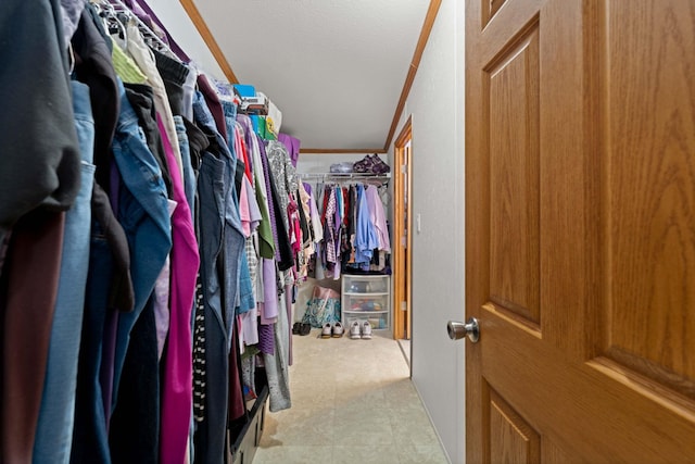 view of spacious closet