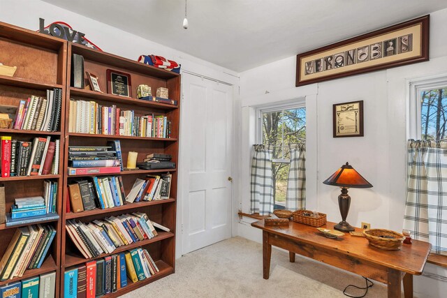 carpeted home office with plenty of natural light