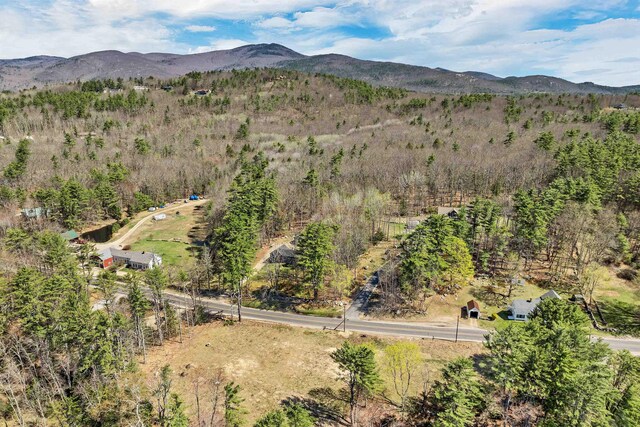 drone / aerial view featuring a mountain view