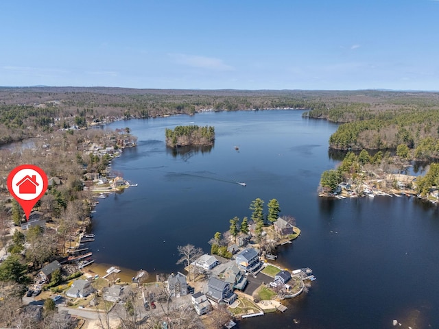 drone / aerial view featuring a water view and a view of trees