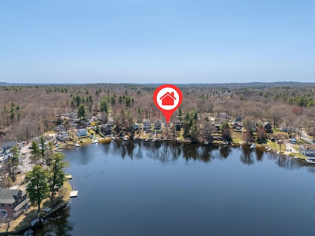 birds eye view of property with a water view and a view of trees