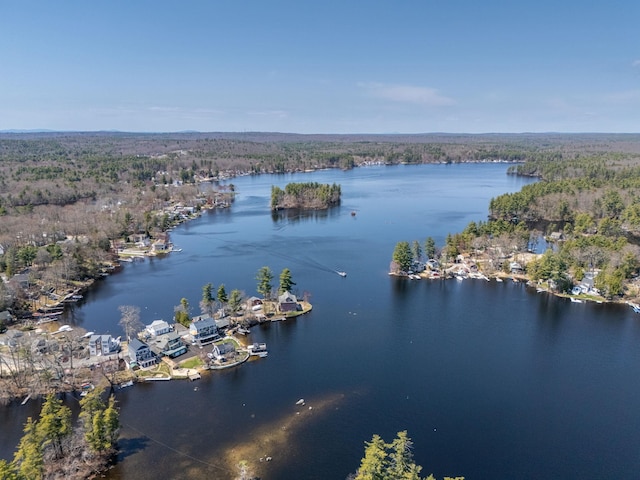 aerial view featuring a water view and a forest view