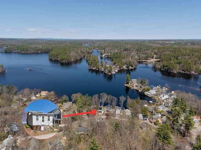 birds eye view of property with a water view and a view of trees