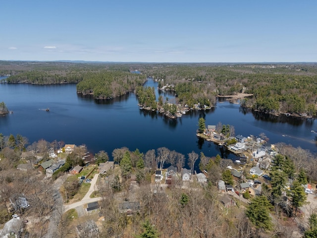 birds eye view of property with a water view and a wooded view