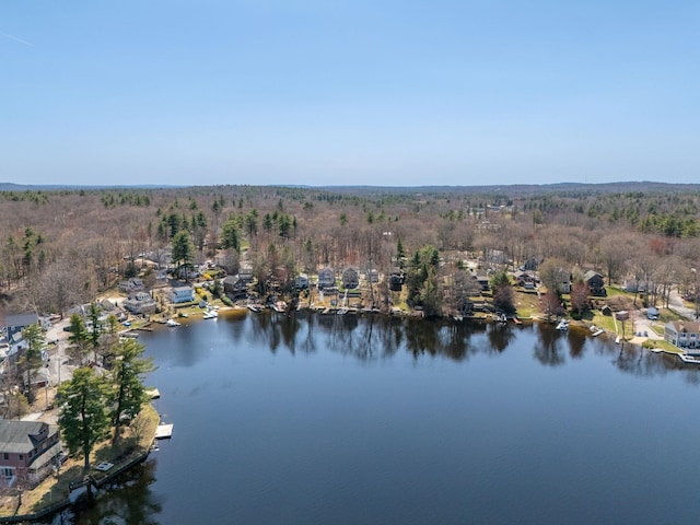 birds eye view of property with a water view and a view of trees