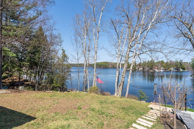 property view of water