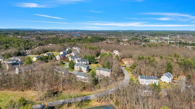 drone / aerial view