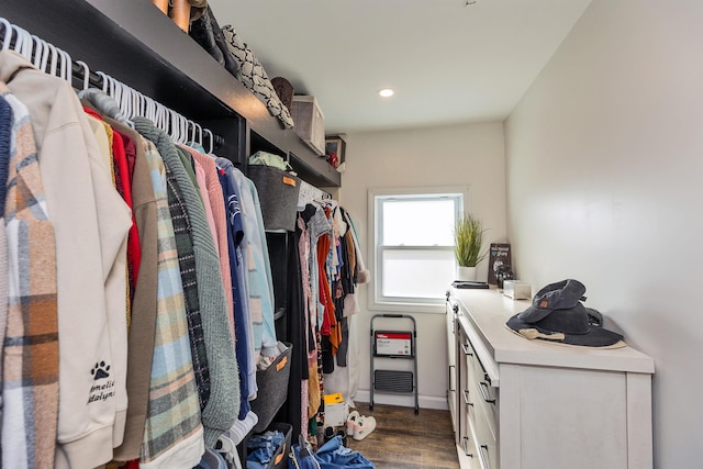 walk in closet with wood finished floors