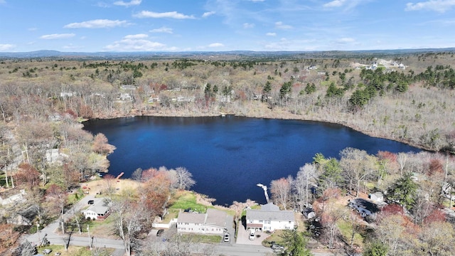 bird's eye view with a view of trees and a water view