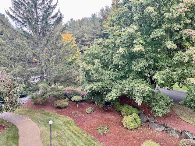view of yard with a view of trees