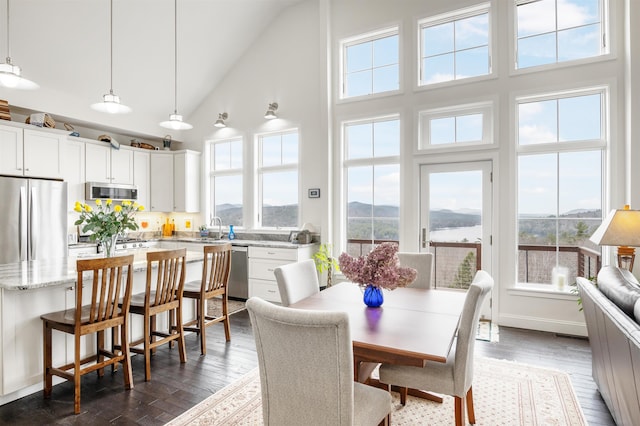 dining room featuring high vaulted ceiling, dark wood finished floors, a mountain view, and a healthy amount of sunlight