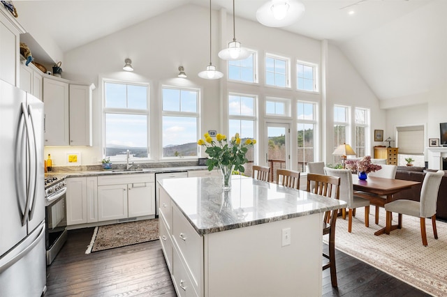 kitchen featuring a sink, high vaulted ceiling, stainless steel appliances, and dark wood-type flooring