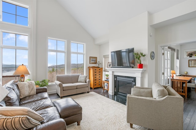living area with a fireplace with flush hearth, high vaulted ceiling, and dark wood-style flooring