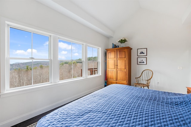bedroom with baseboards, wood finished floors, and lofted ceiling