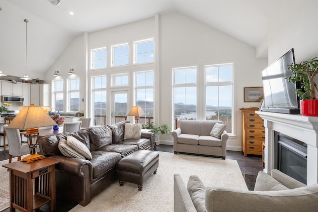 living area featuring a glass covered fireplace, high vaulted ceiling, and wood finished floors