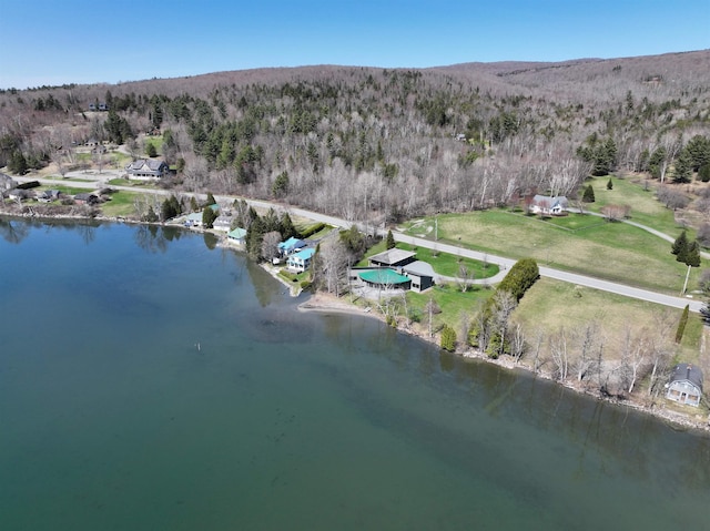 birds eye view of property featuring a water view and a view of trees