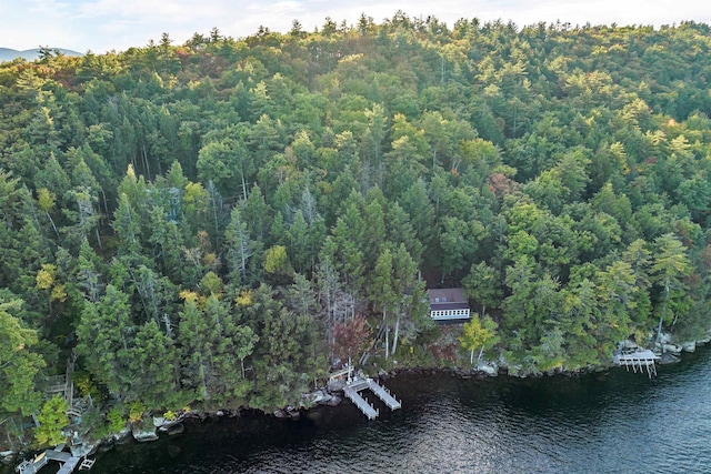 bird's eye view with a view of trees and a water view