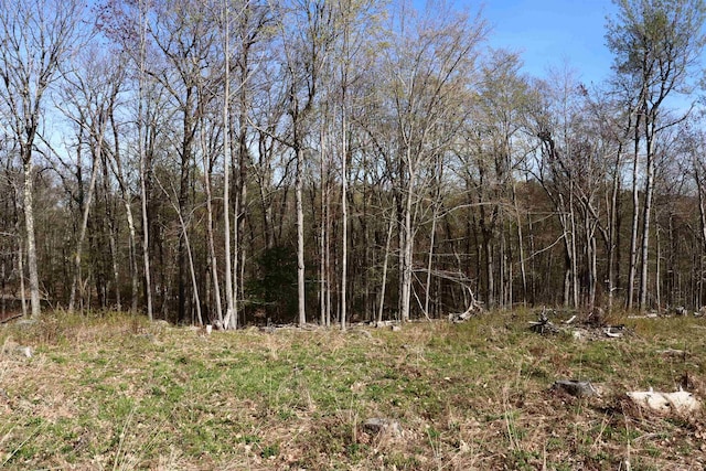 5-108 Kimball Hill Rd, Hillsborough, NH 03244