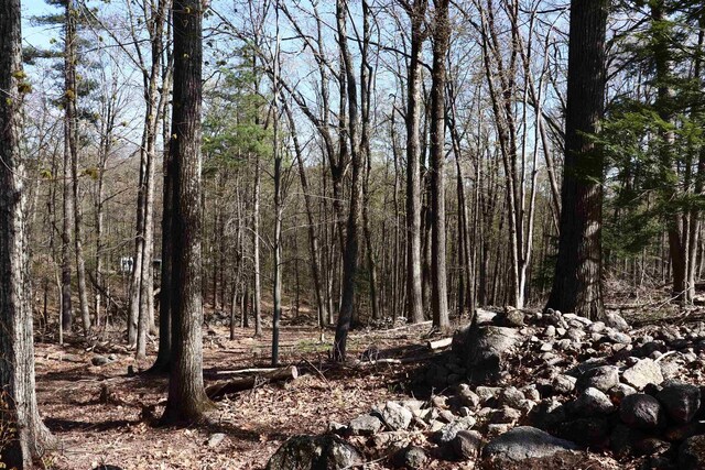 5-108 Kimball Hill Rd, Hillsborough, NH 03244