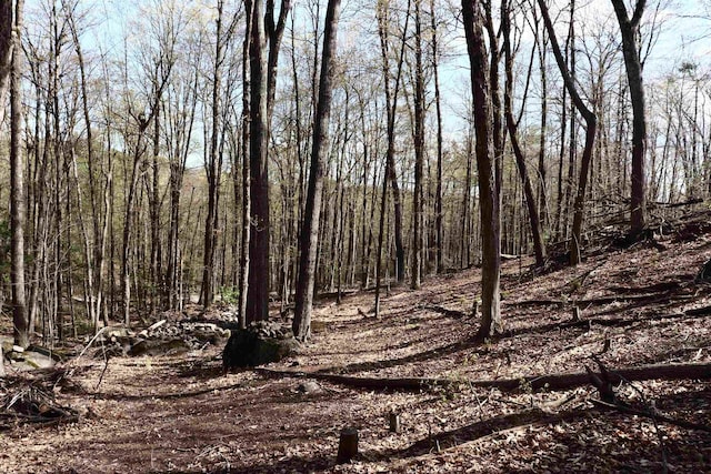 5-108 Kimball Hill Rd, Hillsborough, NH 03244