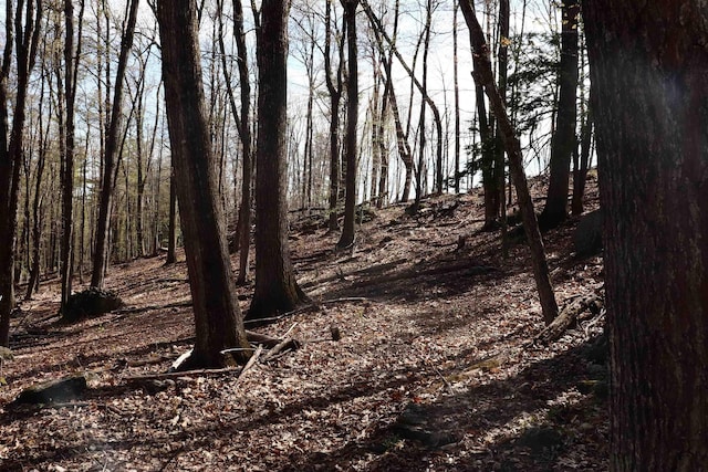 5-108 Kimball Hill Rd, Hillsborough, NH 03244