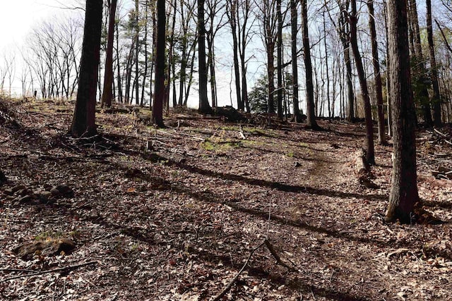 5-108 Kimball Hill Rd, Hillsborough, NH 03244