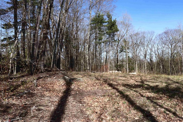 5-108 Kimball Hill Rd, Hillsborough, NH 03244