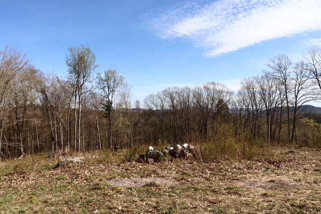 5-108 Kimball Hill Rd, Hillsborough, NH 03244