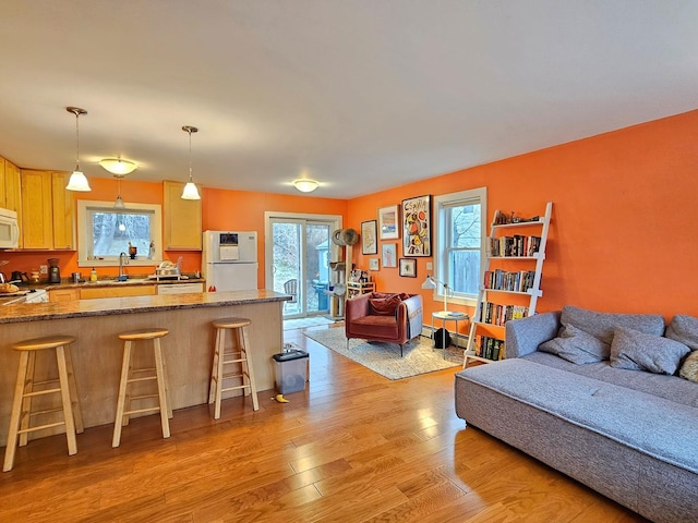living area with light wood finished floors