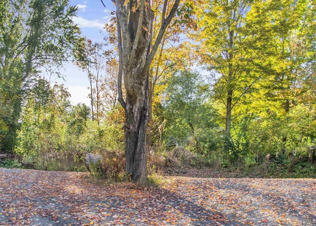 19 Orchard St, Newport City, VT 05855 - view of nature with a forest view