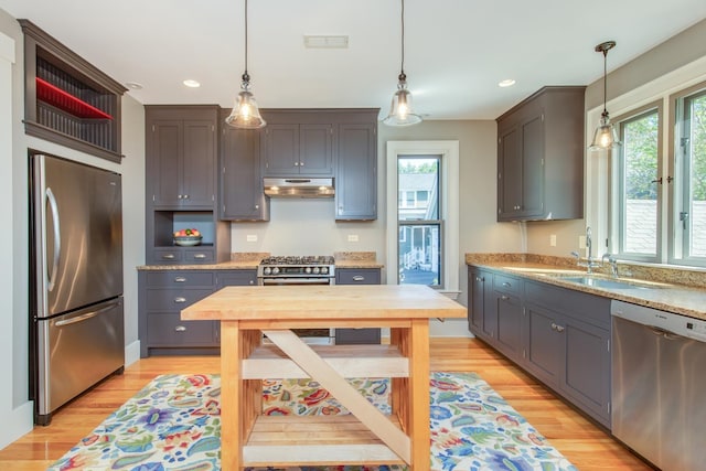 kitchen featuring under cabinet range hood, stainless steel appliances, a wealth of natural light, and light wood-style floors