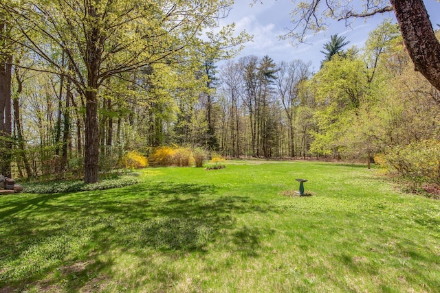 view of yard featuring a forest view