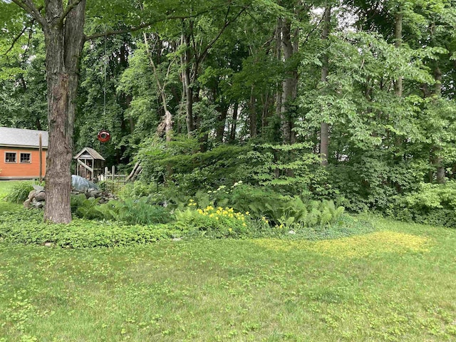 view of yard featuring a wooded view