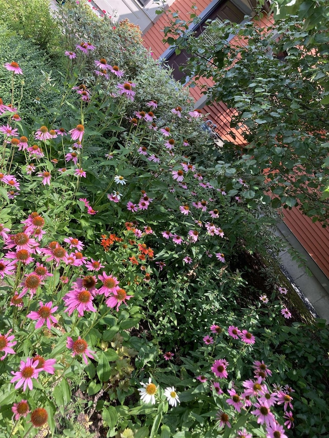 view of details