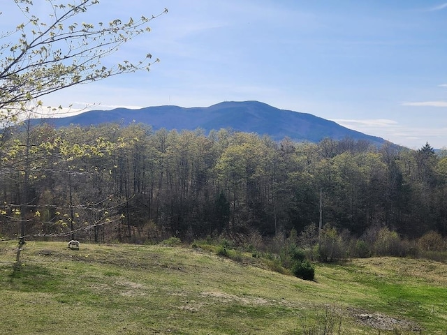 property view of mountains featuring a wooded view
