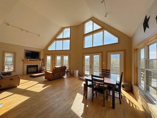 dining room with rail lighting, a glass covered fireplace, a wealth of natural light, and lofted ceiling