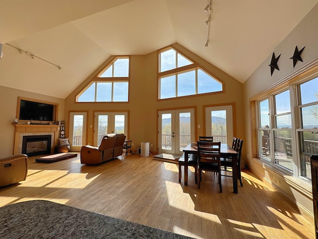 living room featuring wood-type flooring, rail lighting, vaulted ceiling, and a healthy amount of sunlight