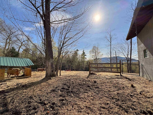 view of yard featuring fence, a gate, a mountain view, and a rural view