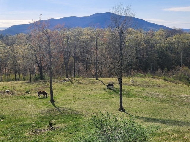 view of mountain feature with a rural view