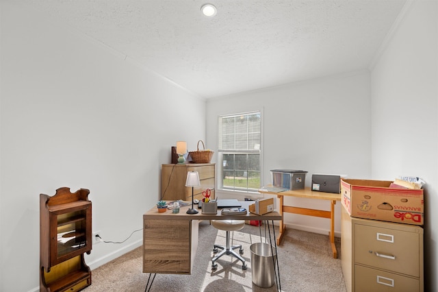 office space with carpet floors, a textured ceiling, baseboards, and crown molding