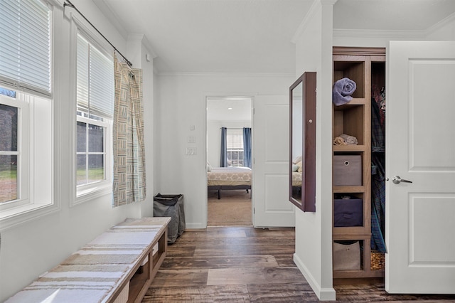 hall featuring crown molding, baseboards, and dark wood-type flooring
